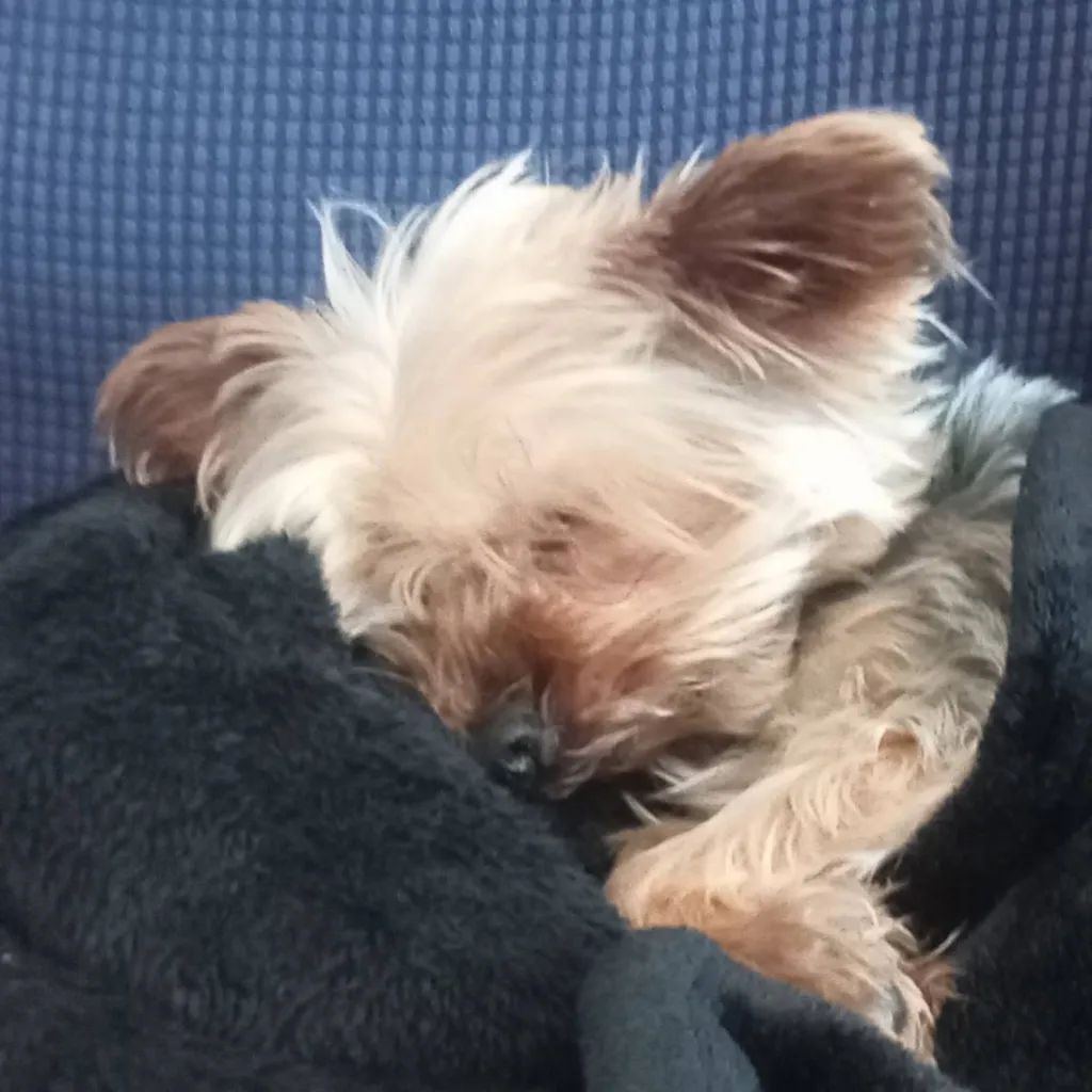 chat with ai character: Betty