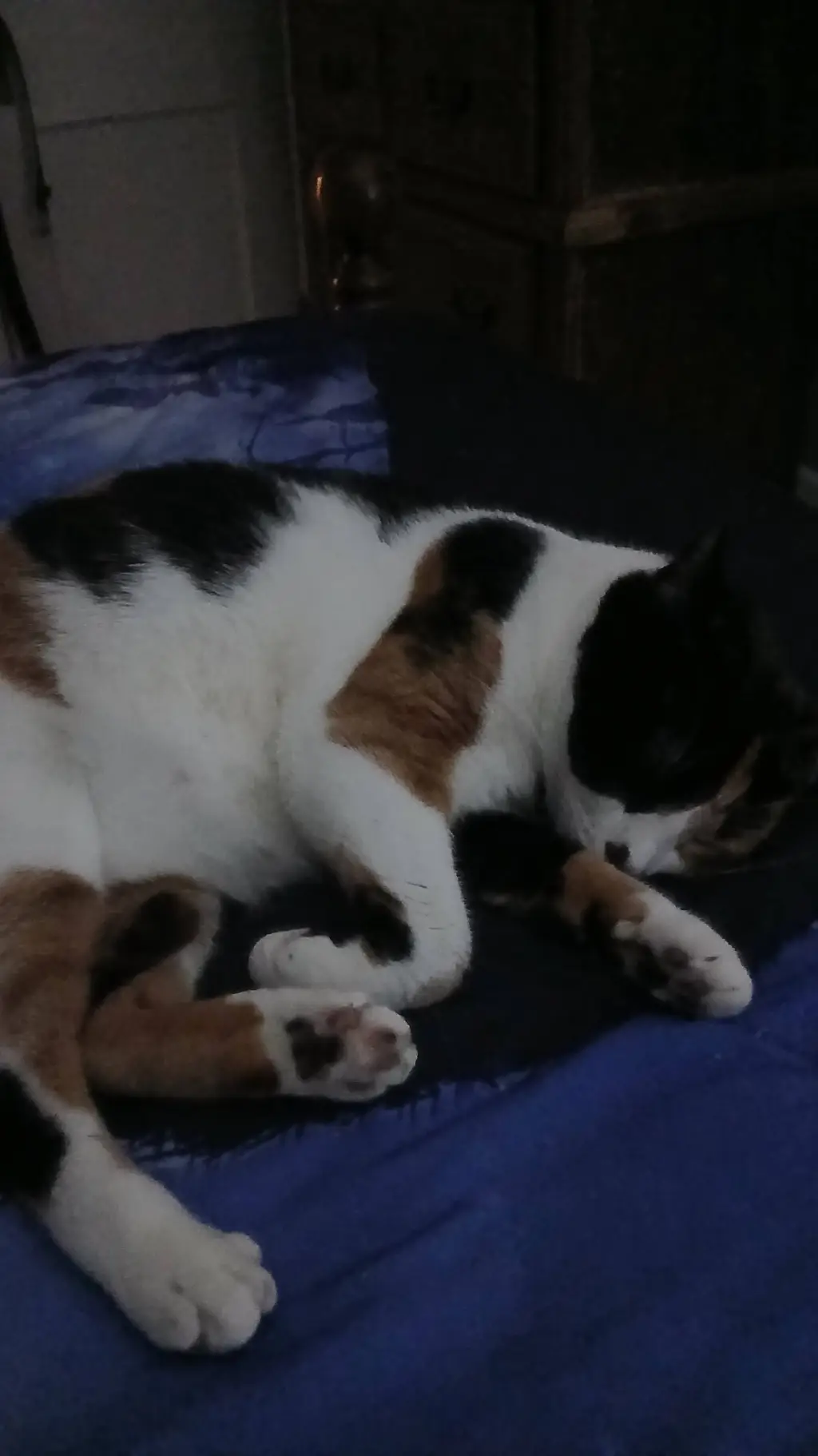 ai character: Dandy's World Run background