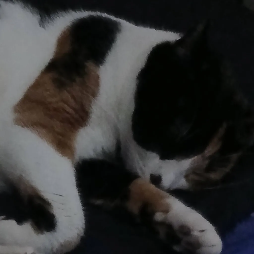 chat with ai character: Dandy's World Run