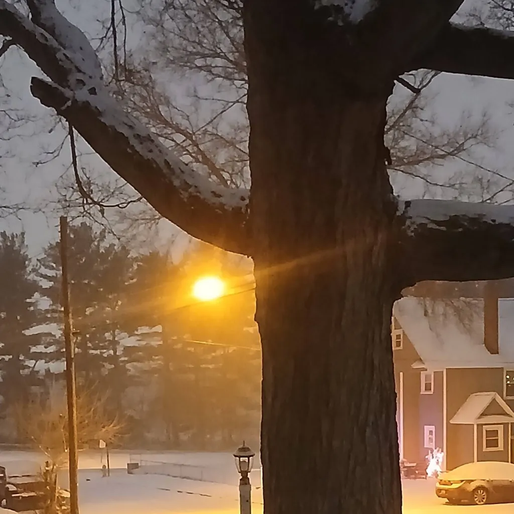 chat with ai character: Quiet Place