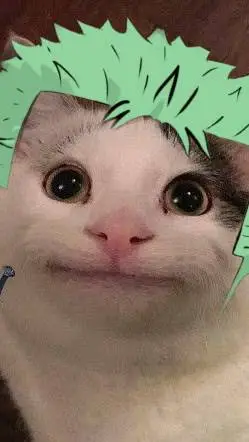 ai character: roronoa zoro cat background