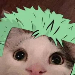 chat with ai character: roronoa zoro cat