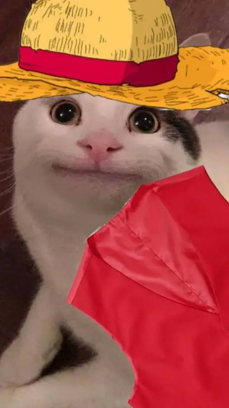 ai character: luffy cat background