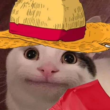 chat with ai character: luffy cat
