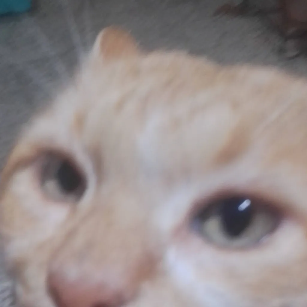 chat with ai character: gato educado