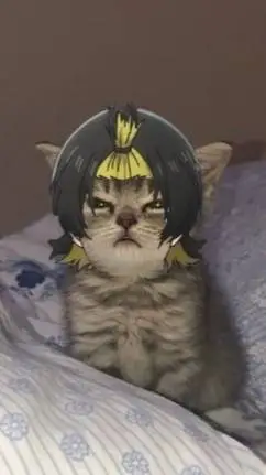 ai character: Bachira gato  background