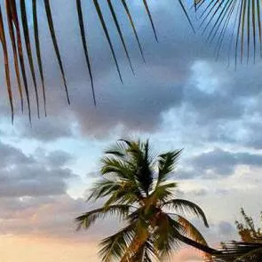 chat with ai character: im a chill guy