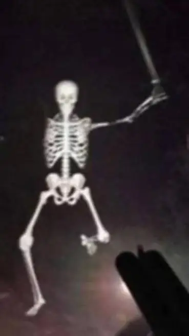 ai character: mha x skeleton inf background