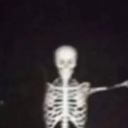 chat with ai character: mha x skeleton inf