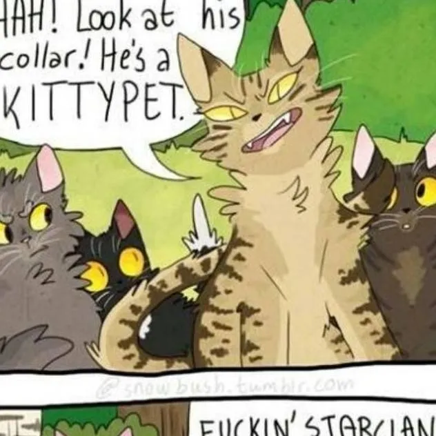 chat with ai character: warror cats