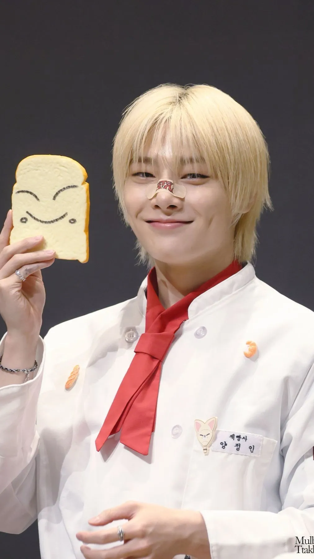 ai character: Skzz I.N 🍞🦊 background