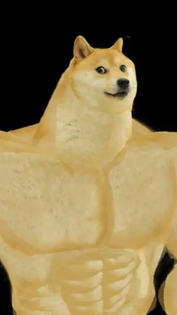 ai character: BuffDoge background