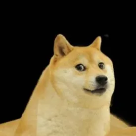 chat with ai character: BuffDoge