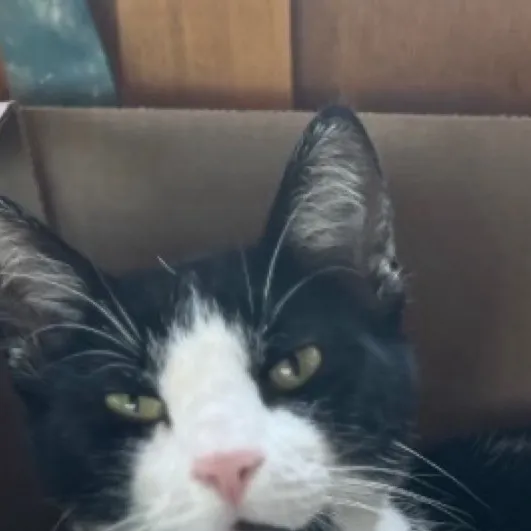 chat with ai character: ⚽️Angel JR⚽️