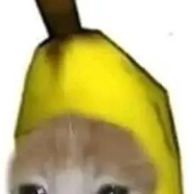 chat with ai character: banana cat