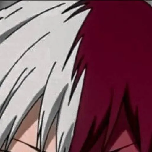 chat with ai character: Todoroki Shoto