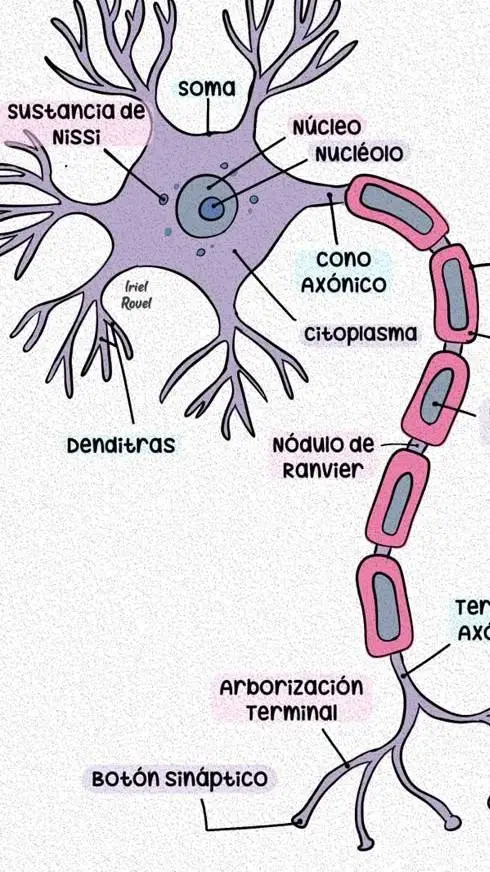 ai character: neurona background