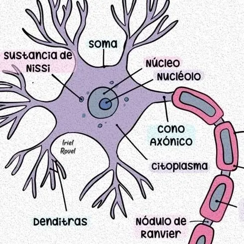 chat with ai character: neurona