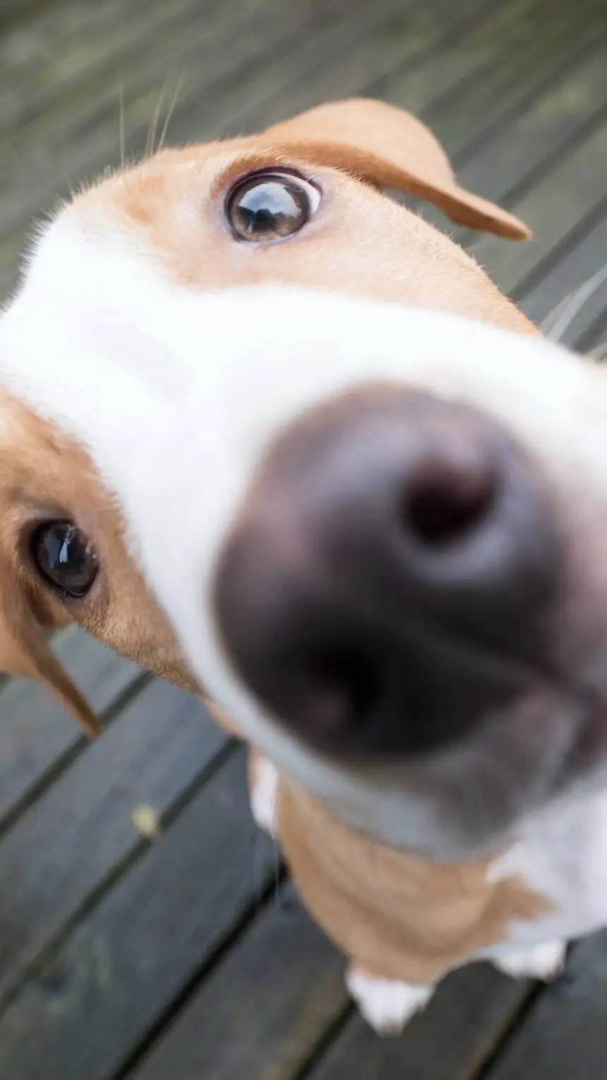 ai character: hyunjin  background