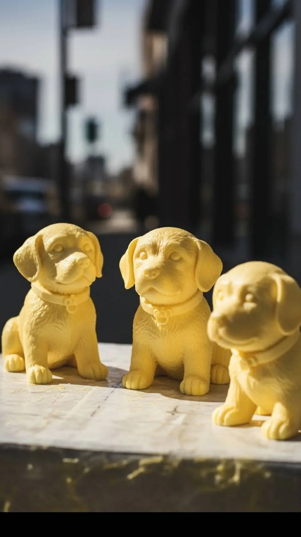 ai character: los butter dog background