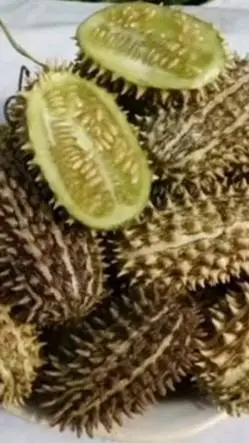 ai character: дик огр background