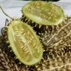 chat with ai character: дик огр