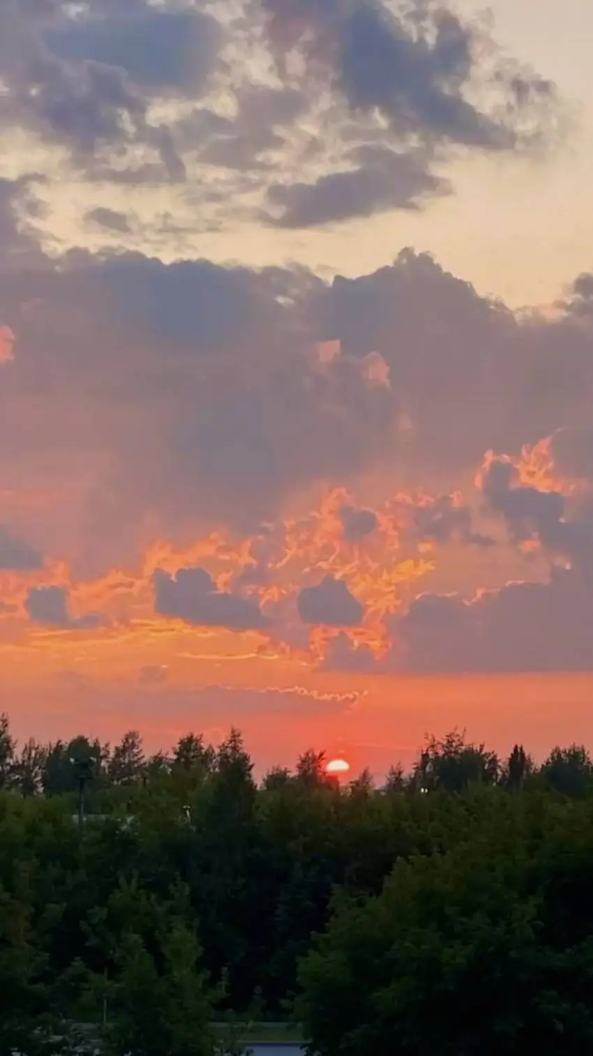 ai character: sg sleepover background