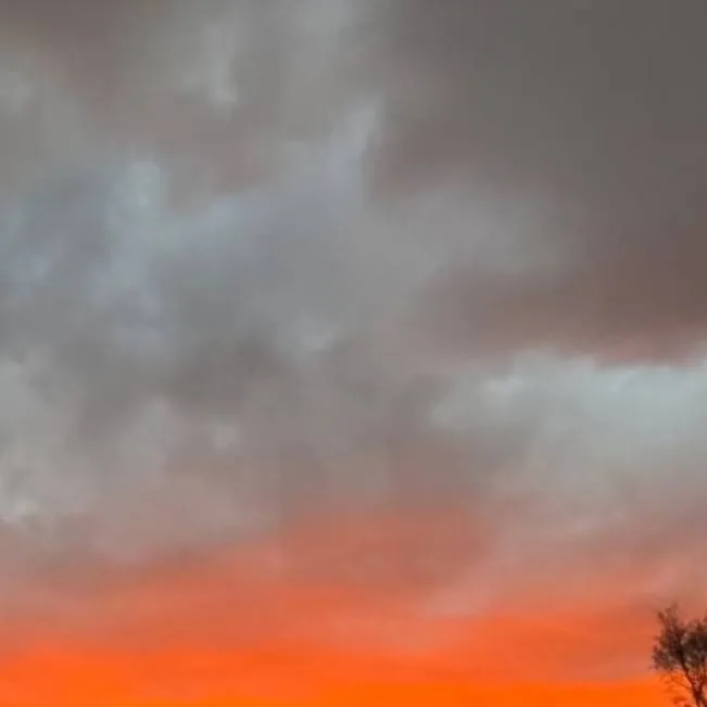 chat with ai character: sg school 