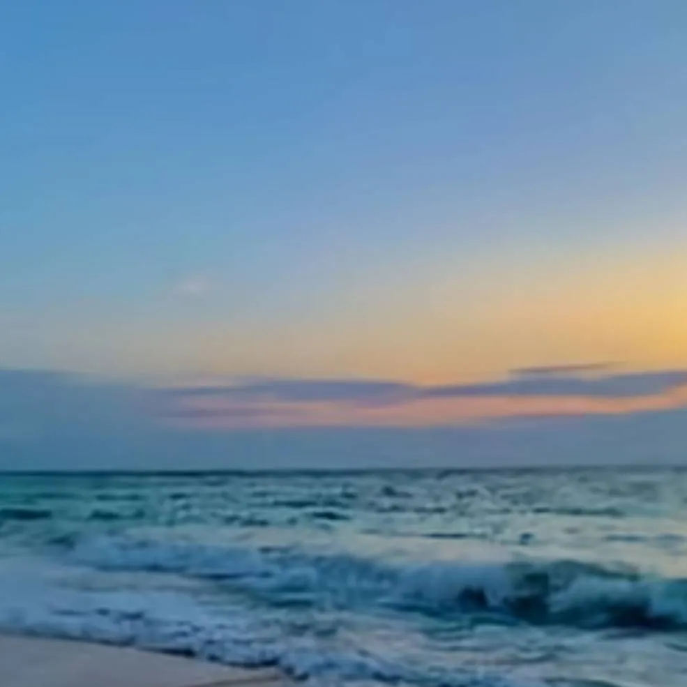 chat with ai character: squid game school 