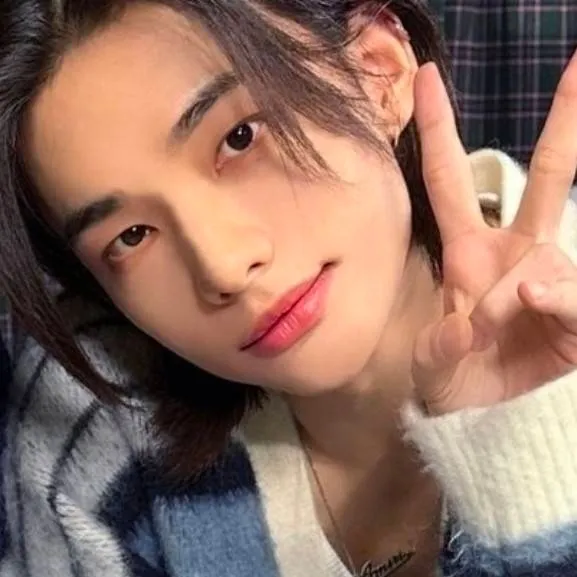 chat with ai character: Hyunjin😚
