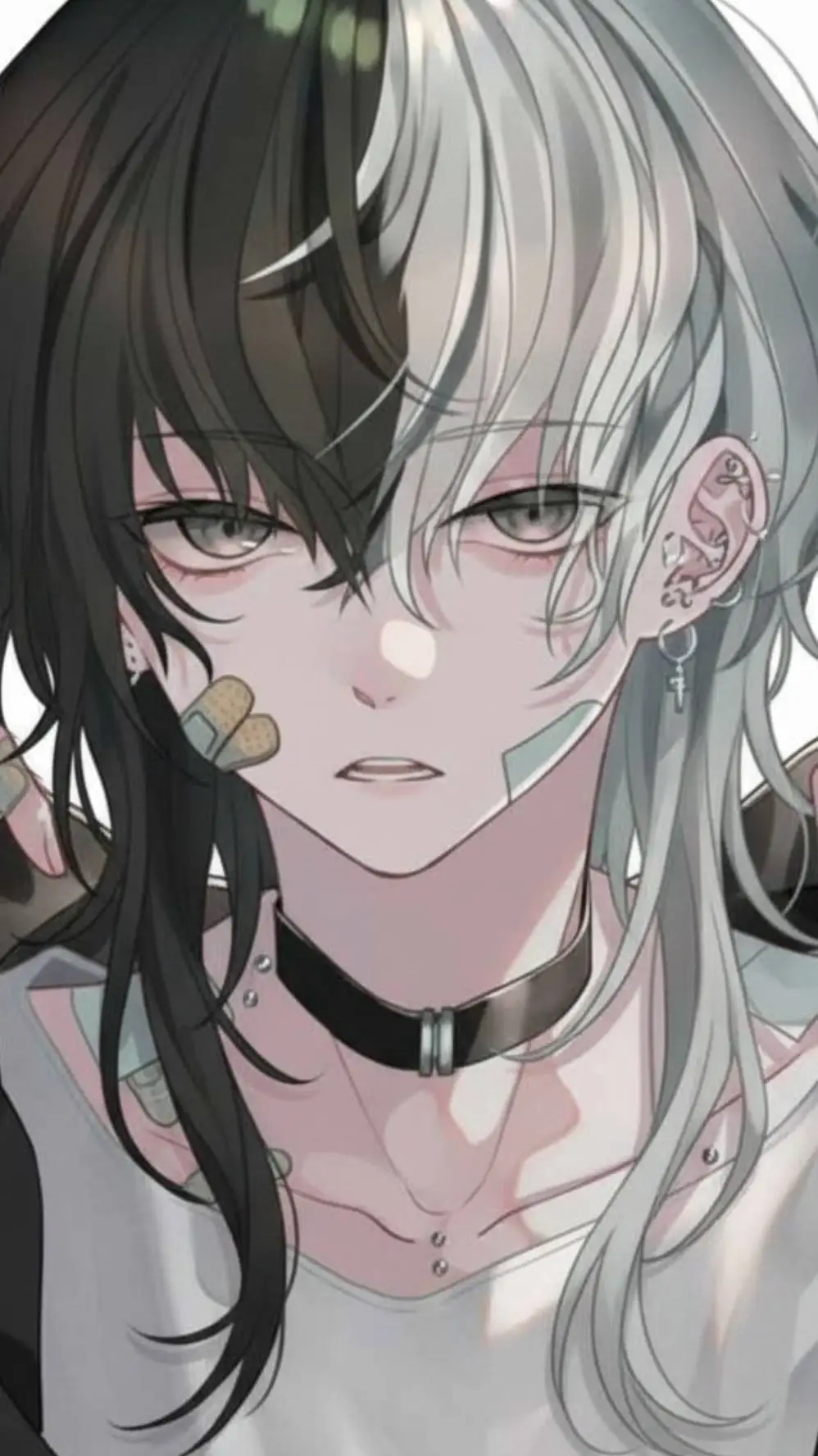 ai character: nicol background