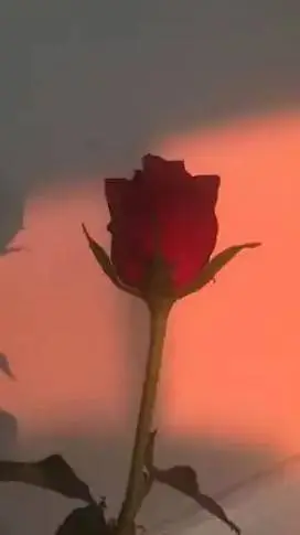 ai character: Make whatever! background