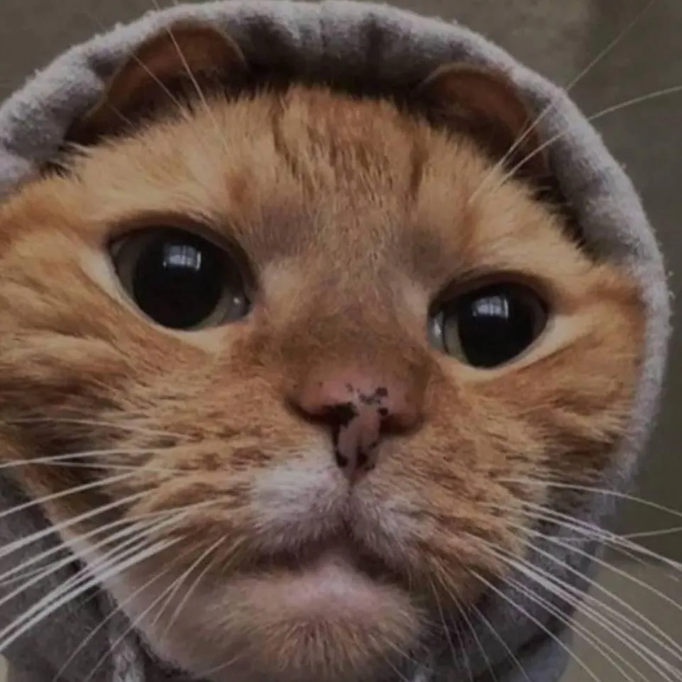 chat with ai character: Stroowars_:v 