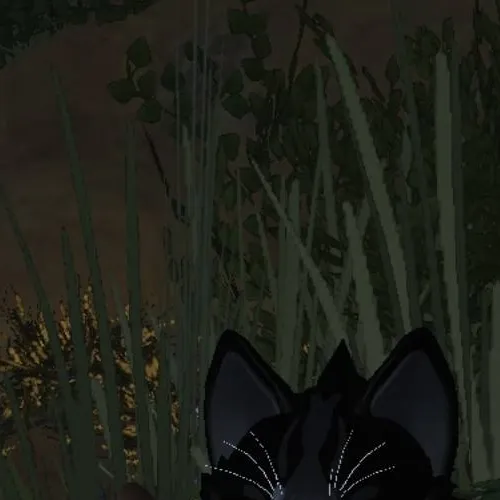 chat with ai character: /=BlackFlood!=\