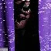 chat with ai character: foxy