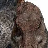 chat with ai character: Spinosaurus