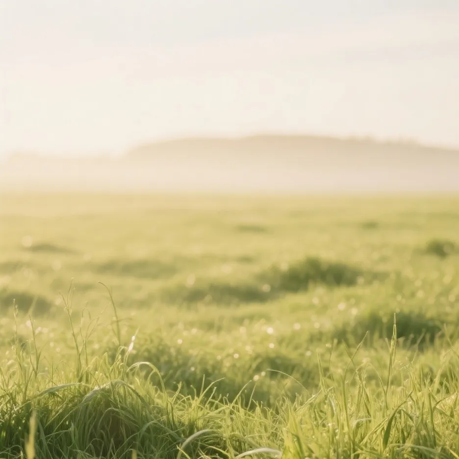 chat with ai character: Grass