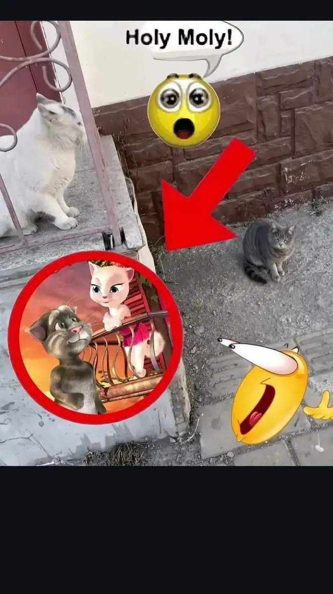 Talkie AI - Chat with coder