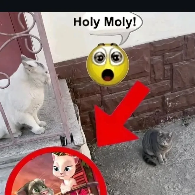 chat with ai character: coder