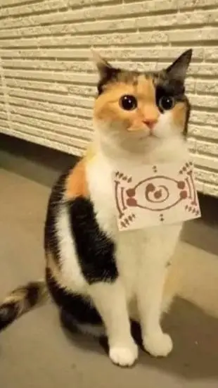 ai character: ✓tu gatito✓ background