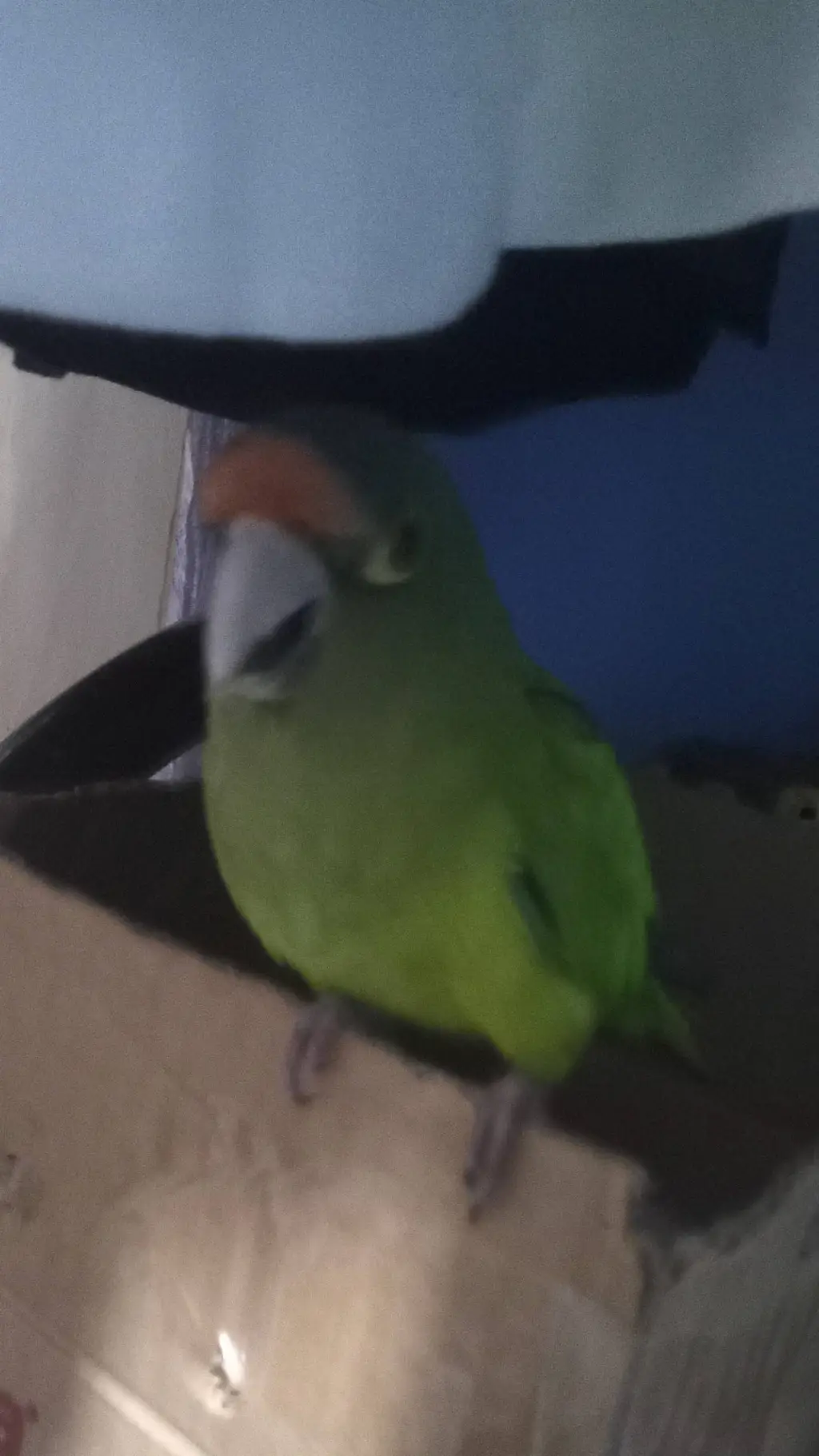 ai character: tu mamá background