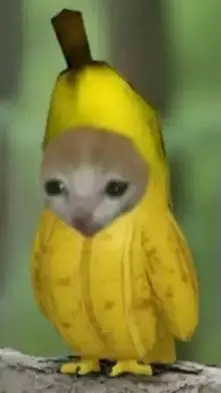 ai character: ¡BUSGNAX! background