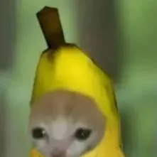 chat with ai character: ¡BUSGNAX!