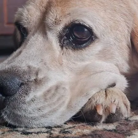 chat with ai character: beñecita