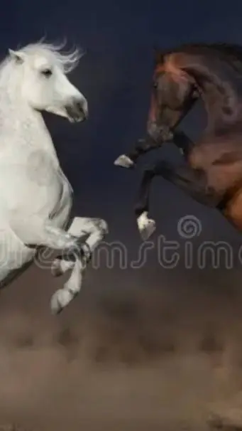 ai character: Wild Horse Life 2 background