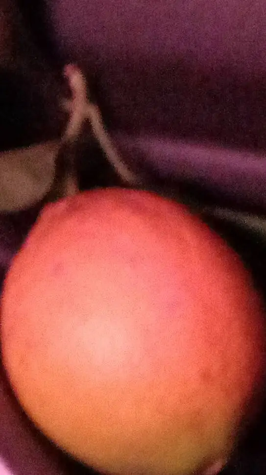 ai character: 99 noches tomando🍻 background