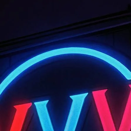 chat with ai character: VEES