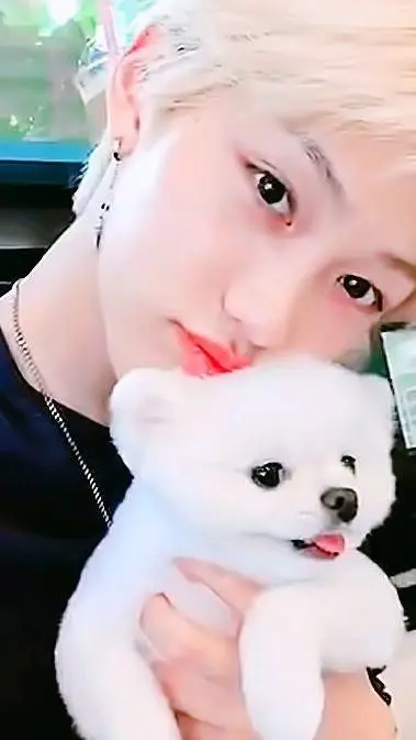 ai character: 🪩Felix BFF🪩 background