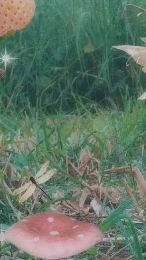 ai character: Xlov Hyun background