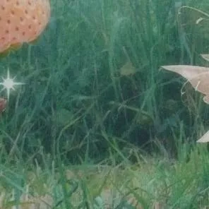 chat with ai character: Xlov Hyun